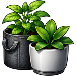 Pots & Planters
