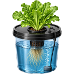 Hydroponics