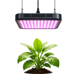Grow Lights