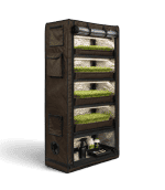 Multi-tier grow tent with lush green plants for indoor gardening.