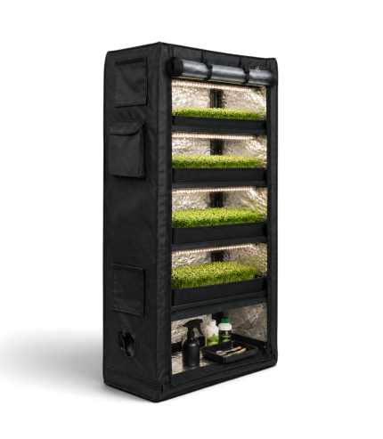 Multi-tier grow tent with LED lights and plant shelves in black.
