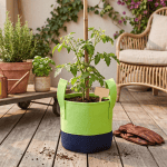 Grow Bag 10L Parrot Green - Image 2