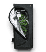 MGG Grow Tent Black