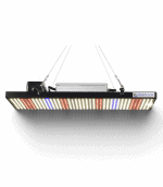 Fluortronix XE Series 150W Full Spectrum LED Grow Light with Dimmer for Indoor Plants